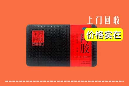 蔚县回收阿胶
