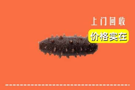 蔚县回收海参