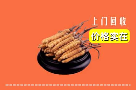 蔚县回收冬虫夏草