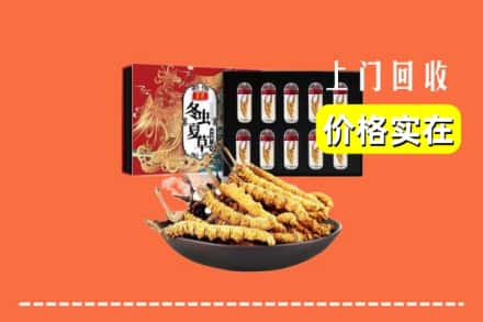 蔚县回收虫草