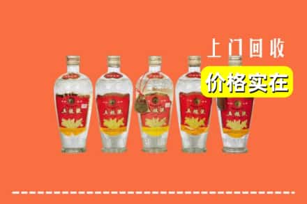 蔚县回收老五粮液